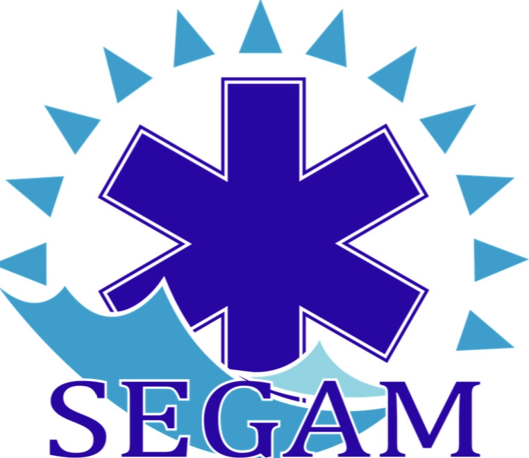 SEGAM